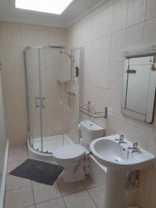 a bathroom with a shower and a toilet and a sink at North Headborough in Haverfordwest