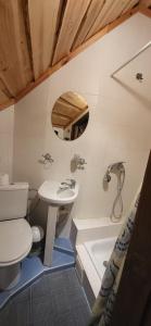 La salle de bains est pourvue de toilettes et d'un lavabo. dans l'établissement Meškiai, à Meškiai