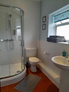 a bathroom with a shower and a toilet and a sink at North Headborough in Haverfordwest