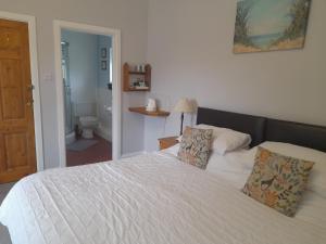 1 dormitorio con 1 cama blanca y 2 almohadas en North Headborough, en Haverfordwest