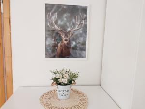 Gambar di galeri bagi Agroturystyka Jelenia di Wisła