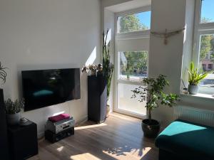 a living room with a flat screen tv and plants at Happy Kaunas in Kaunas