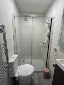 uma casa de banho com um chuveiro, um WC e um lavatório. em Sneem Studios em Sneem