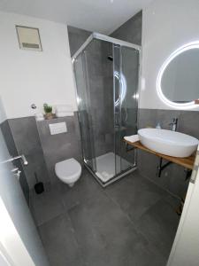 a bathroom with a shower and a toilet and a sink at Naturhotel Blaubach in Blaubach