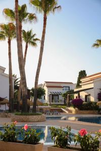 un complejo con palmeras y piscina en Nuramar Resort & Villas, en Cala'n Bosch