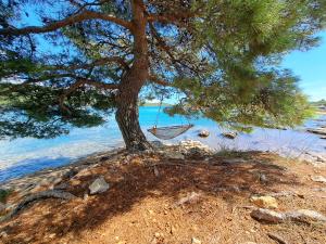 a hammock hanging from a tree on the beach at Paradise kosirina in Murter