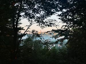 Apartmán Bříza, výhled na zámek في ناخود: اطلالة على غابة مع وجود الدخان في المسافة