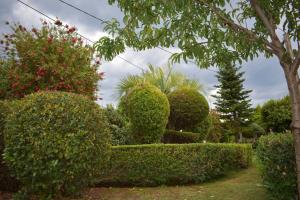 un jardín con arbustos y setos y un árbol en Ktima Nostos, en Volos