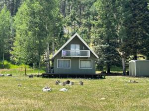 a house in a field with ducks in the grass at Aspen Hollow In The Upper Valley With High Speed Wifi in Red River