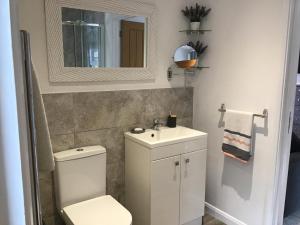 a bathroom with a toilet and a sink and a mirror at The Fields in Worcester