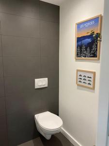 a bathroom with a toilet and a picture on the wall at Appartement Gérardmer in Gérardmer