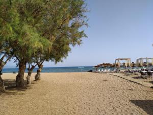 einen Strand mit Bäumen und Stühlen und das Meer in der Unterkunft HOLIDAYS APARTMENT ΜΕΣΣΗΝΗ in Messini