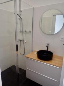La salle de bains est pourvue d'un lavabo et d'une douche avec un miroir. dans l'établissement Appartement tempéré avec terrasse, à Tours