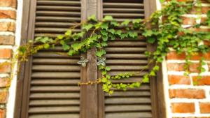 Fotografie z fotogalerie ubytování Hanok Moryeon v destinaci Čondžu