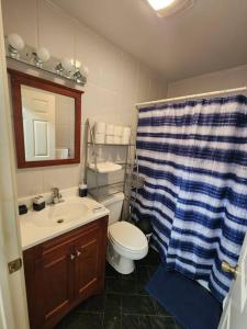 a bathroom with a sink and a toilet and a shower curtain at Luxury 2 bed apt, mins to NYC! in Union City