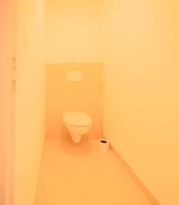 ein Bad mit einem weißen WC in einem Zimmer in der Unterkunft Coeur De Ville Colmar in Colmar