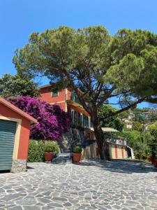 a tree in front of a building with purple flowers at Le Magnolie in Santa Margherita Ligure