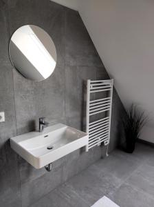 a bathroom with a sink and a mirror at Luxuriöses Penthouse mit Blick auf die UNO-City und dem Kaiserwasser. 3Schlafzimmer, 2 Bäder, privat Lift ins Apartment in Vienna