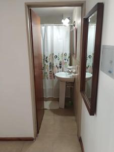 a bathroom with a sink and a shower at Las diagonales in La Plata