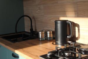 卡茲別吉的住宿－Cottage Milo Kazbegi，厨房柜台配有带黑咖啡壶的炉灶