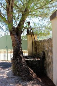 a tree next to a stone wall with a water fountain at NEW! Gîtes de Charme au Mas de Soleil in Goudargues