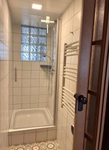 een badkamer met een bad en een douche met een raam bij Apartment am Schloss-Park Wiesbaden Biebrich am Rhein in Wiesbaden