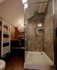 een douche met een glazen deur in de badkamer bij Casa Emmara Sighisoara in Daneş