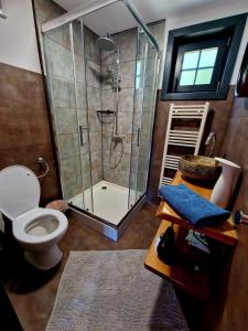 a bathroom with a shower and a toilet at Casa Emmara Sighisoara in Daneş