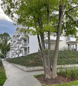 una fila de árboles frente a un edificio en Bella Casa Luxury Apartament en Radom