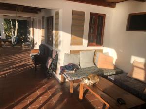 a cat sitting on a couch in a living room at Rustic Charm and Breathtaking Views in Santa Cruz La Laguna