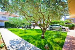 a green yard with a tree and a car at Apartmani Roko in Zadar
