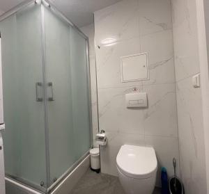 bagno con doccia in vetro e servizi igienici di Erbacher Ferienwohnung 2 a Erbach