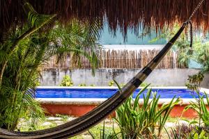 a hammock hanging in front of a pool at Bed & Breakfast Casaejido in Playa del Carmen