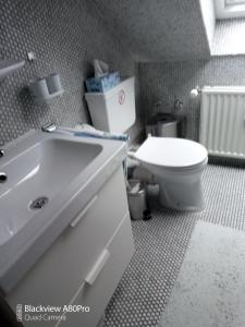 La salle de bains est pourvue d'un lavabo blanc et de toilettes. dans l'établissement Ferienwohnung Sonnenschein, à Bad Harzburg