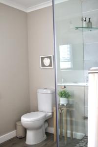 W łazience znajduje się toaleta i przeszklony prysznic. w obiekcie Ocean Pearl Hermanus - 5 Bedrooms w mieście Hermanus