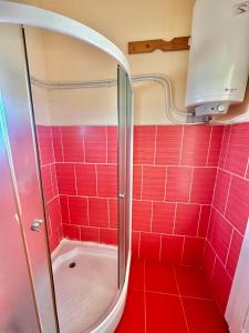 La salle de bains est pourvue d'une douche et de carrelage rouge. dans l'établissement Casa Andrei și Cătălin, à Tăşnad