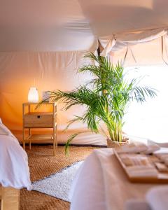 1 dormitorio con cama, mesa y planta en Glamping Gozdna Jasa, en Bovec