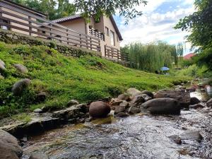 a stream with rocks in front of a house at Casa Radu Novaci in Novaci-Străini