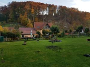 una casa en un campo con un árbol en el patio en Pension Rüdigsdorfer Schweiz, en Nordhausen