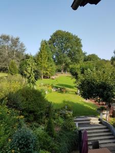 vistas a un parque con césped y árboles en Pension Rüdigsdorfer Schweiz, en Nordhausen