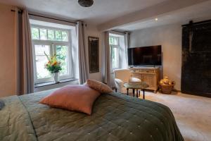 a bedroom with a large bed with a television and windows at Le Poirier de la Canette in Durbuy