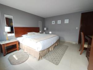1 dormitorio con 1 cama grande y 1 mesa en Residence L´Heritage Aristóteles 140 by BlueBay, en Ciudad de México