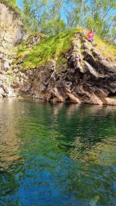 Photo de la galerie de l'établissement Elvestua, à Gibostad 98 autres photos