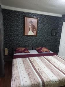 een bed in een slaapkamer met een foto aan de muur bij Durmitor in Kumanovo