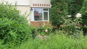 a garden in front of a house with a window at Central Residence in Câmpulung