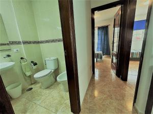 a bathroom with a toilet and a sink at Alquilaencanarias Llano del Camello in San Miguel de Abona +5 photos
