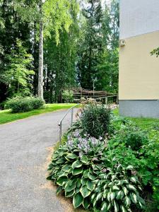a garden with a bunch of plants next to a building at RANTA in Tampere