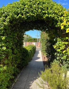 un arco de arbustos con una pasarela en Bougainville, en San Vincenzo