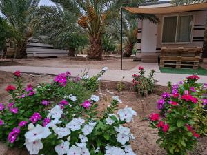 a garden with pink and white flowers in front of a house at Almazham hotel room resort in AlUla