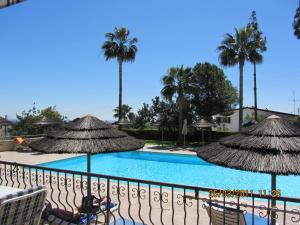 a pool with chairs and umbrellas and palm trees at Club Aphrodite in Erimi